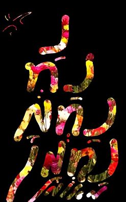 Nanach Colors On Black