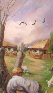 Nanach Face Profile Birds