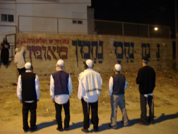 Nanach Looking At Graffiti