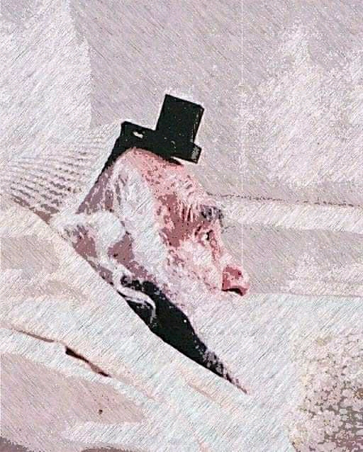 Nanach Portrait Saba All White Wearing Tefilin