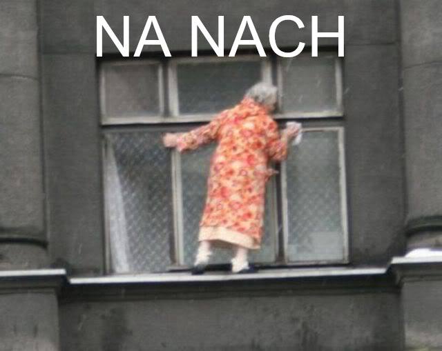 Woman Cleaning Window Nanach