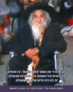 Saba Wheelchair Cane