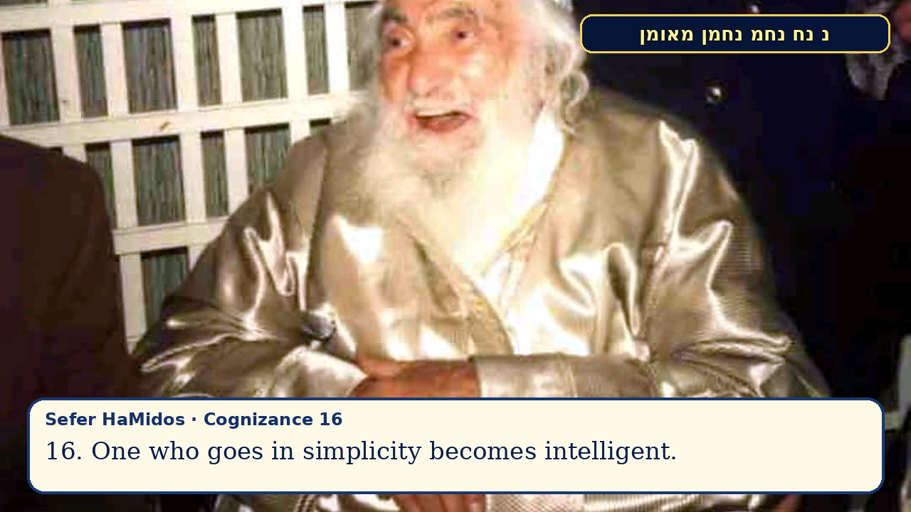 Sefer Hamidos Cognizance teaching 16 english picture