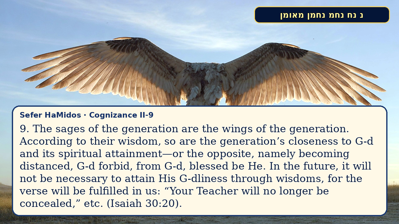 Sefer Hamidos Cognizance teaching 43 english picture