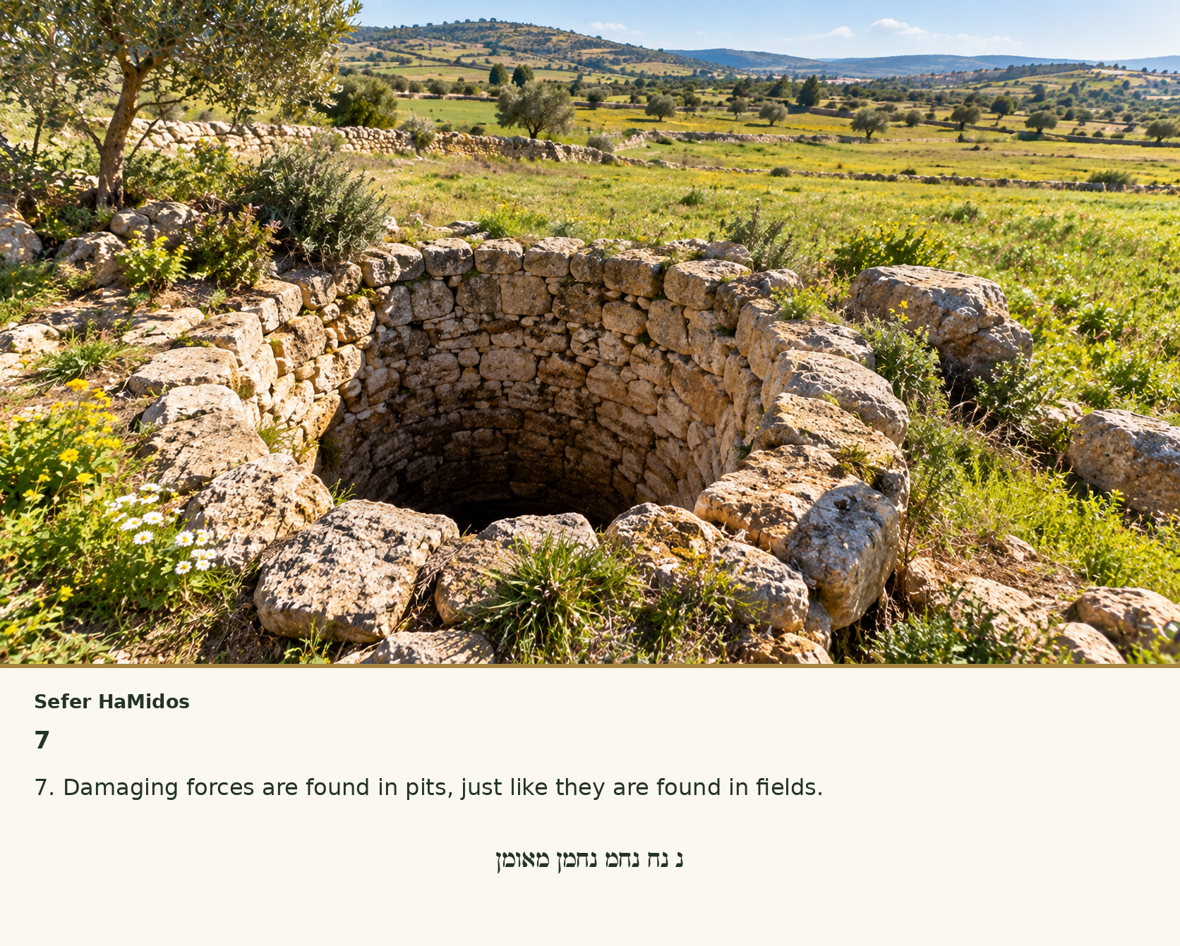 Sefer Hamidos Husks (Evil Forces) teaching 7 english picture