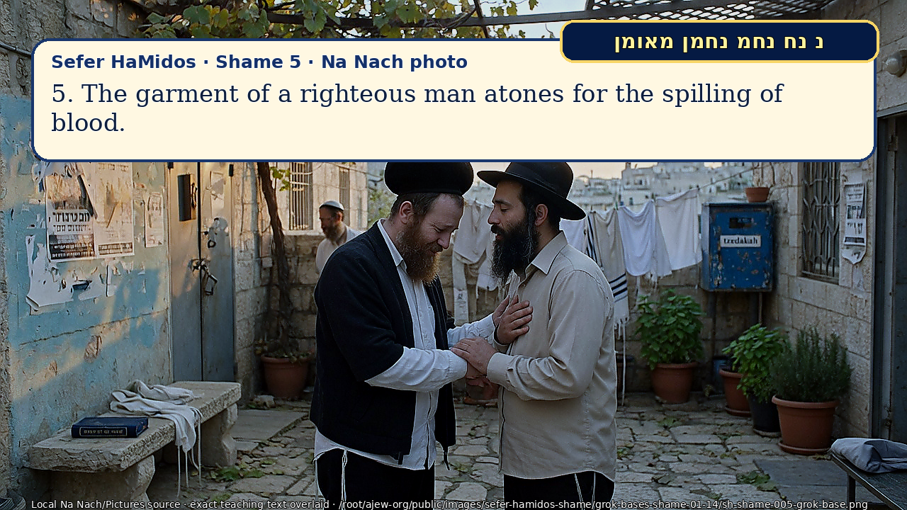 Sefer Hamidos Shame teaching 5 english picture