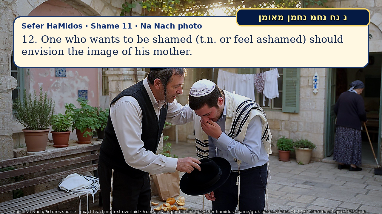 Sefer Hamidos Shame teaching 11 english picture