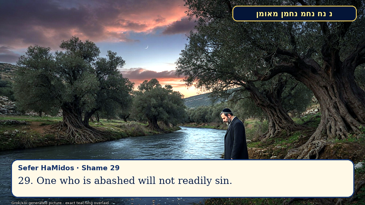 Sefer Hamidos Shame teaching 28 english picture